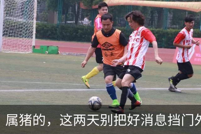 属猪的，这两天别把好消息挡门外