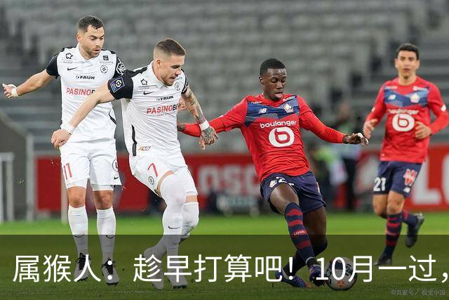 属猴人:趁早打算吧!10月一过,你家恐要起“风波”