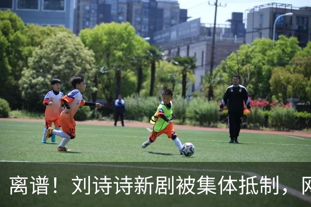 离谱！刘诗诗新剧被集体抵制，网友吐槽文案出乎意料地一致