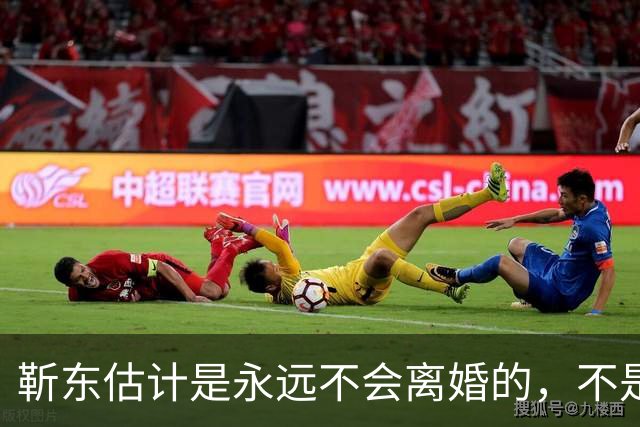 靳东估计是永远不会离婚的，不是因为他和老婆财产纠葛太多